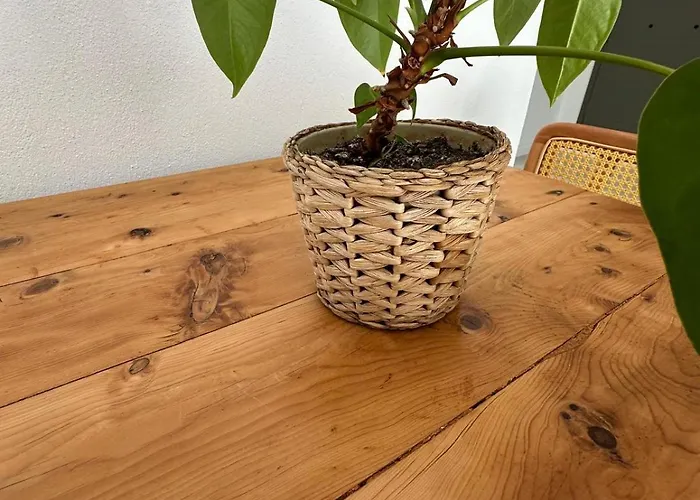 Apartamento Likya *